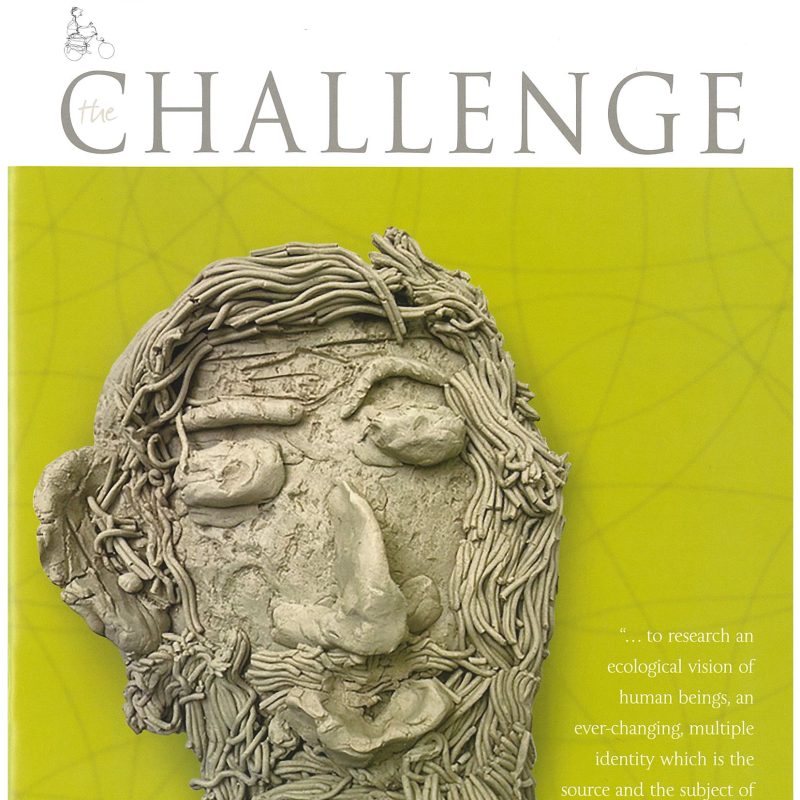 The Challenge Journal